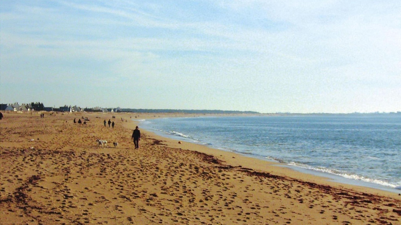 Photo of Others in Piriac-sur-Mer