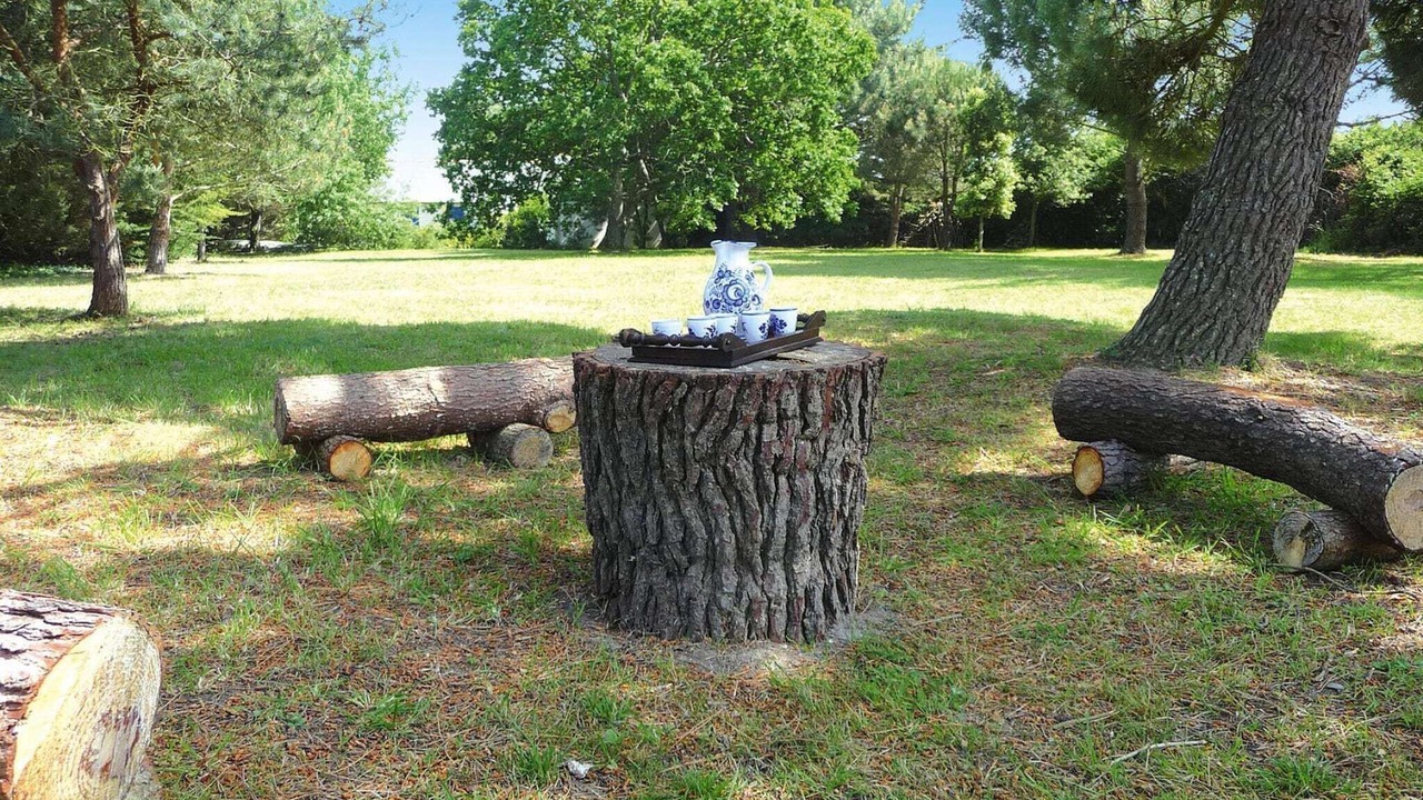 Photo of Outdoor in Piriac-sur-Mer