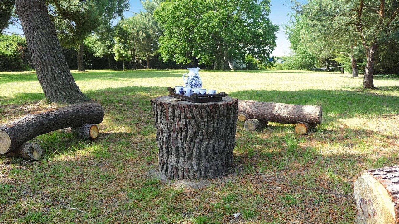 Photo of Outdoor in Piriac-sur-Mer