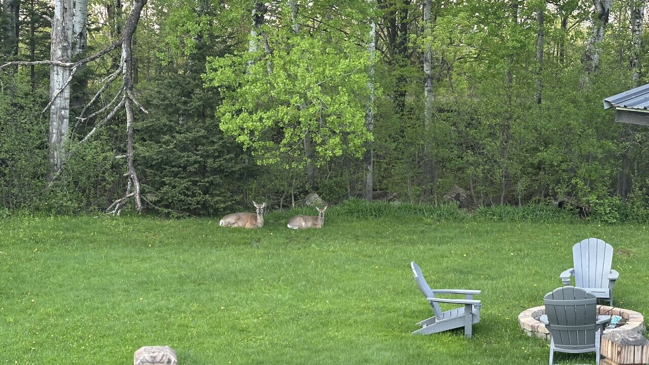 Photo of Others in Ironwood
