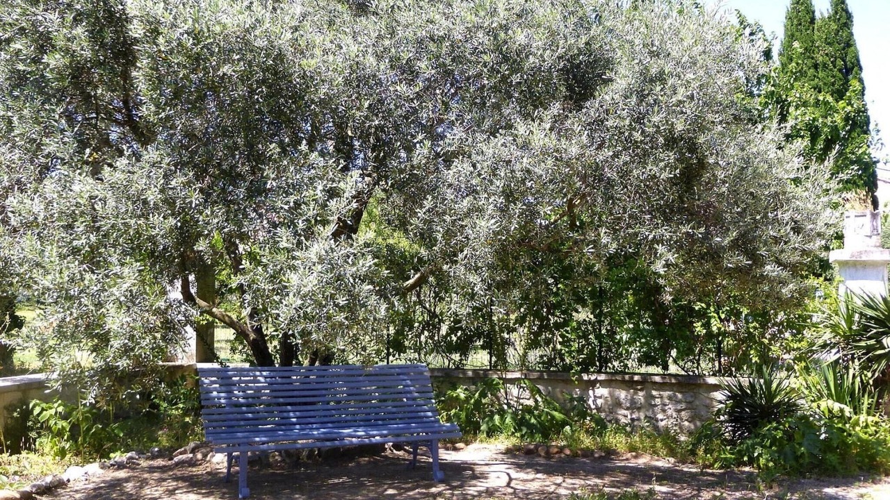 Photo of Outdoor in Monteux