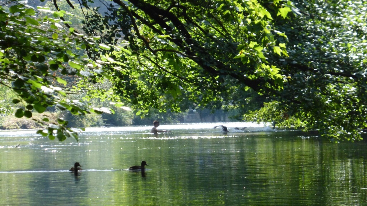 Photo of Others in Monteux