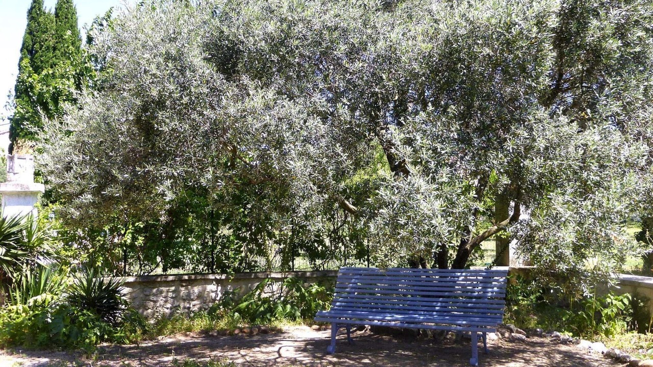 Photo of Outdoor in Monteux