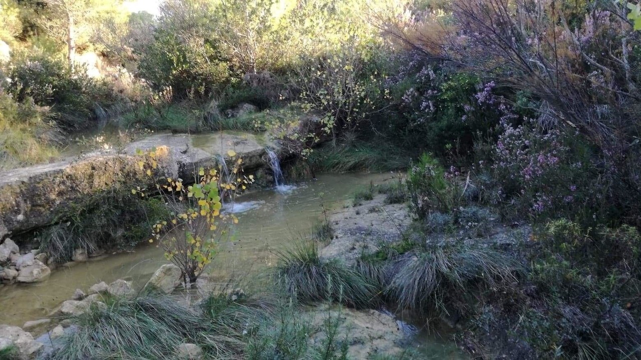 Photo of Outdoor in Roquefort-des-Corbieres