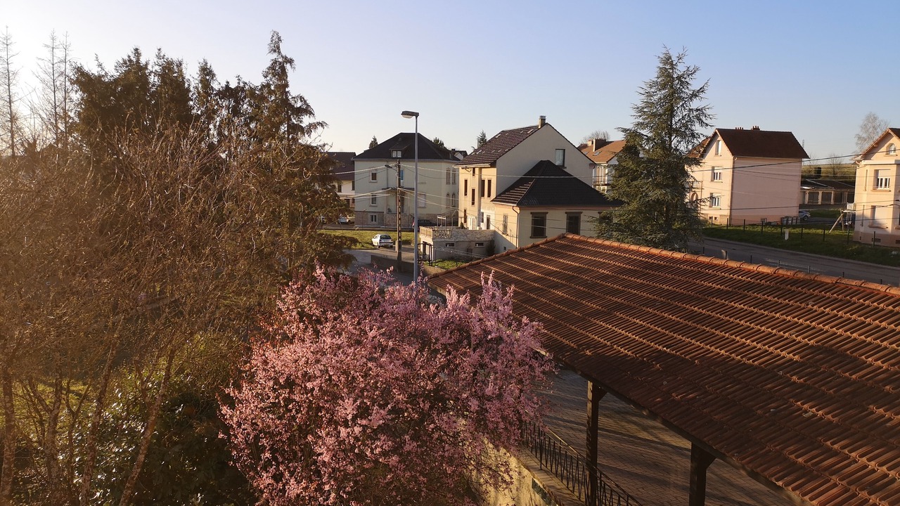 Photo of Bedroom in Puttelange-aux-Lacs