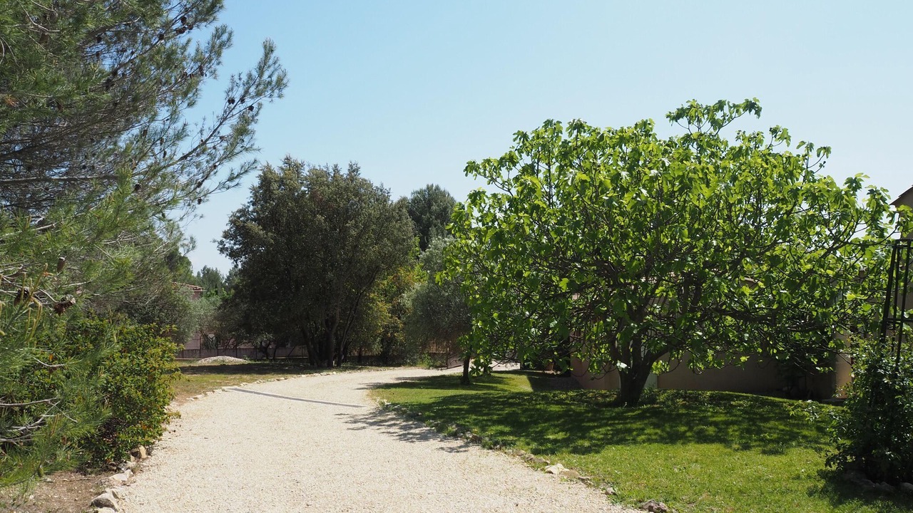 Photo of Outdoor in Lambesc