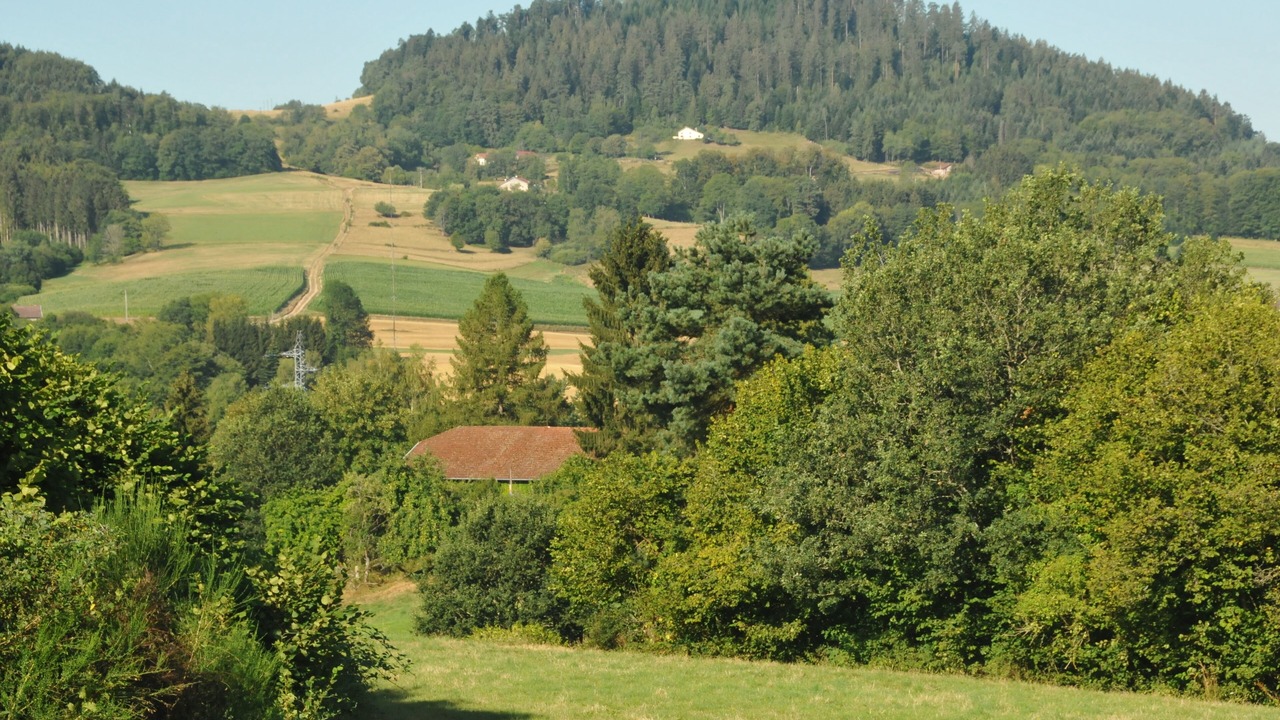 Photo of Others in La Chapelle-devant-Bruyeres