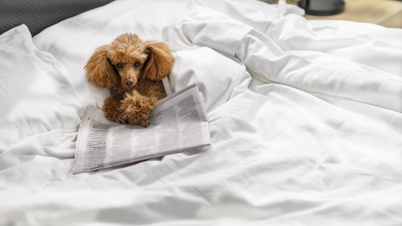 Photo of Others in Robina