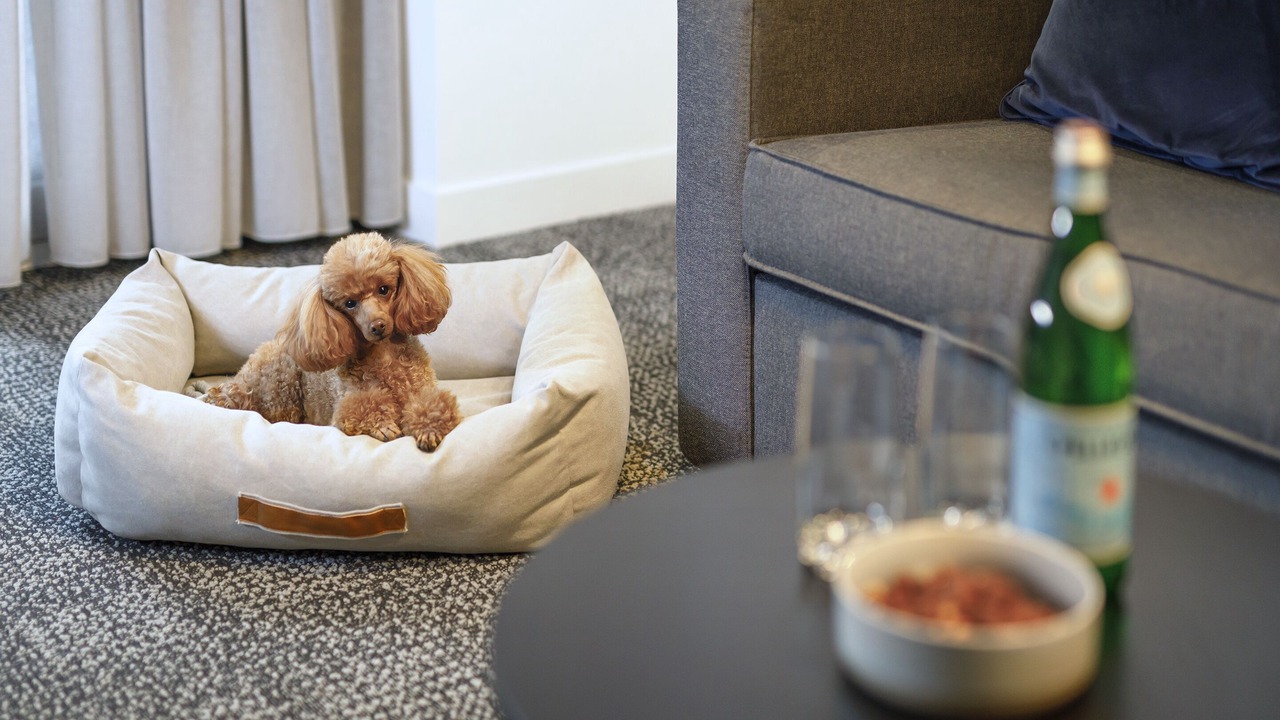 Photo of Others in Robina