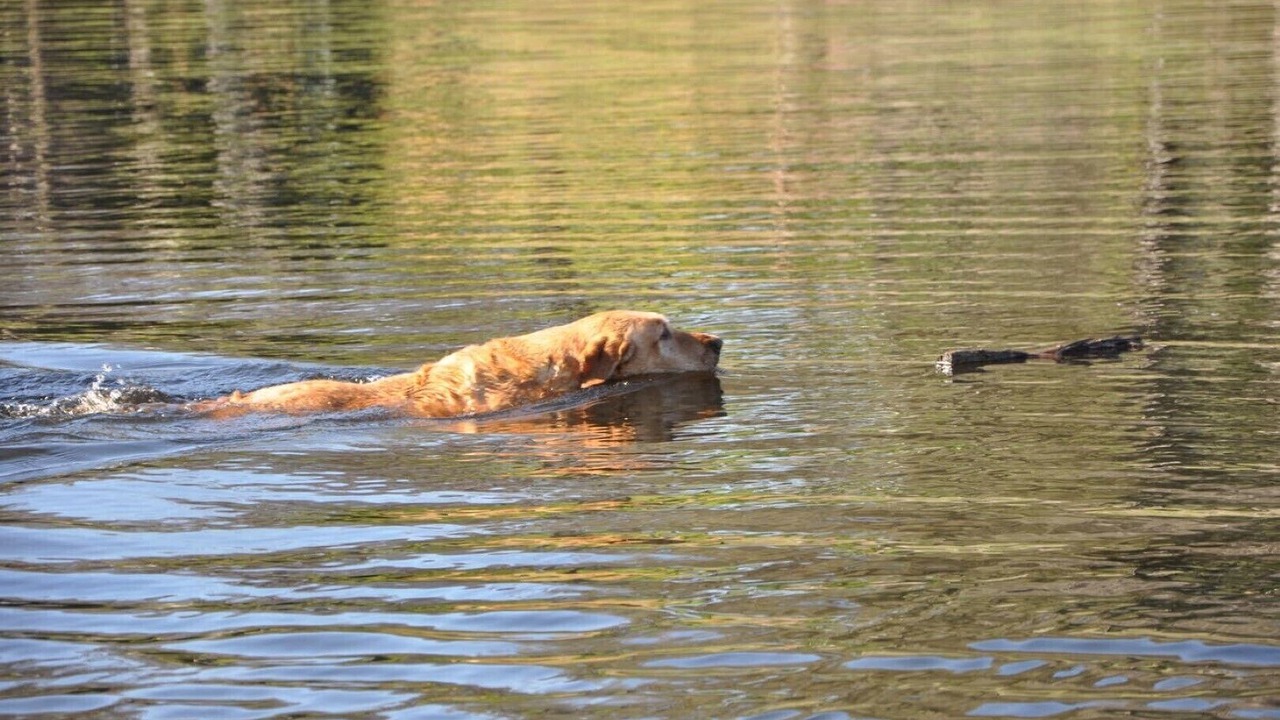 Photo of Others in Ione