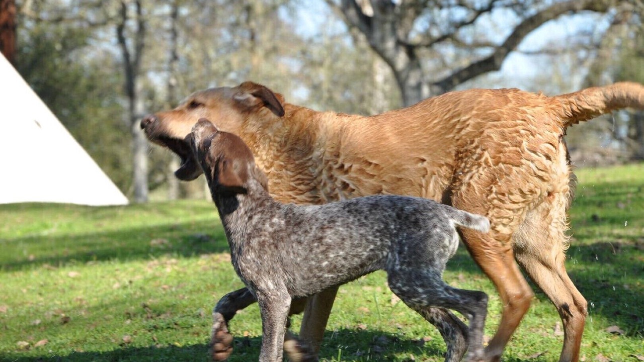 Photo of Outdoor in Ione