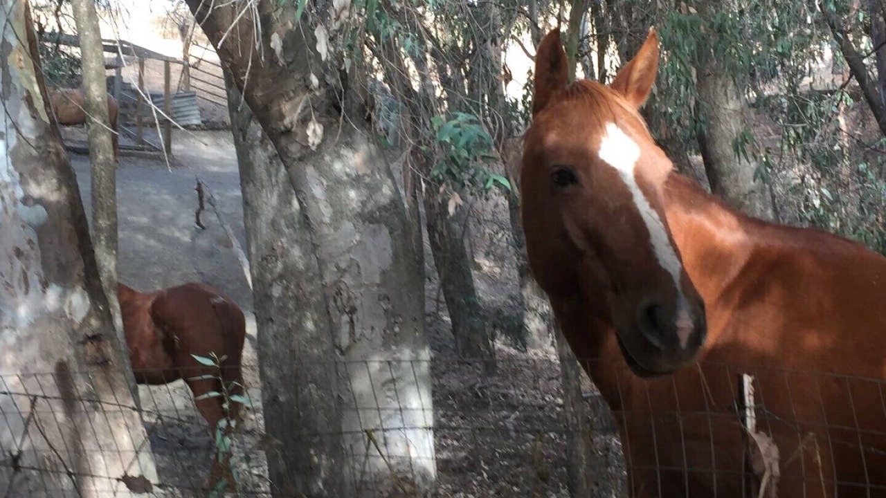 Photo of Others in Ione