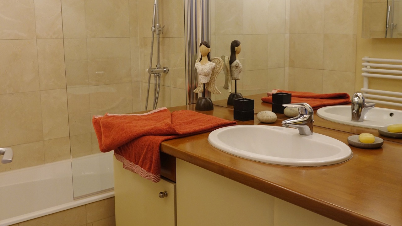 Photo of Bathroom in Plaisance