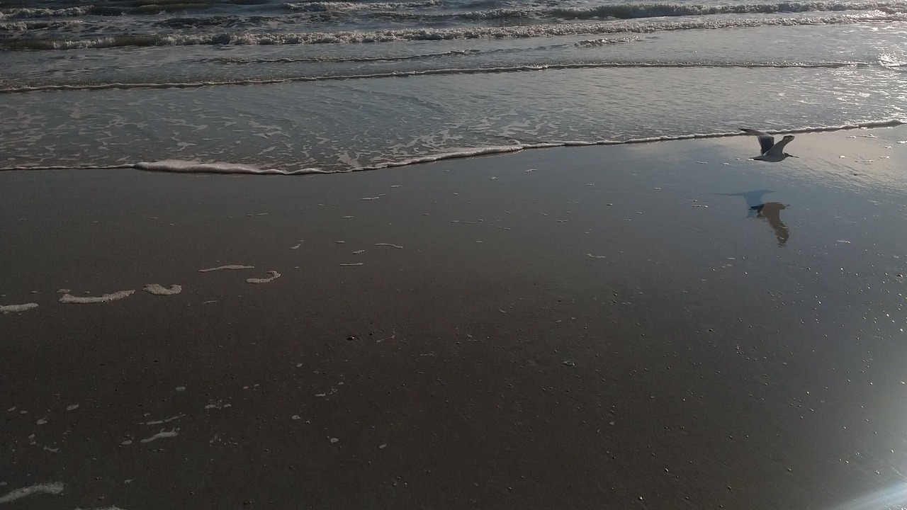 Photo of Others in Crescent Beach