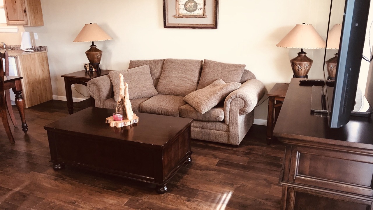 Photo of Livingroom in Waynesville