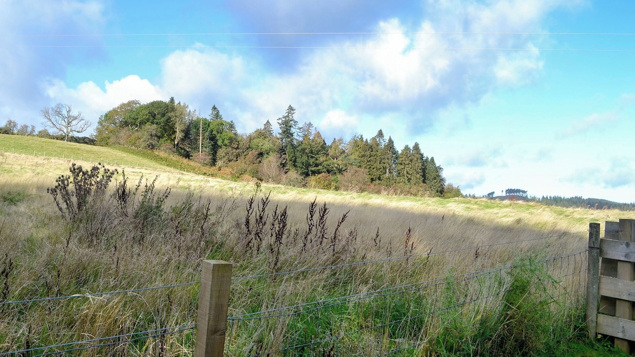 Photo of Others in Dumfries