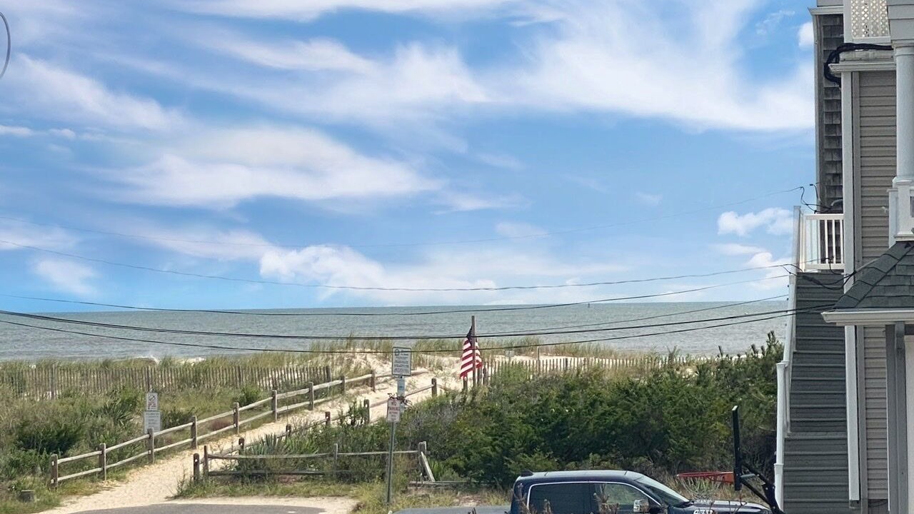 Photo of Others in Townsend's Inlet