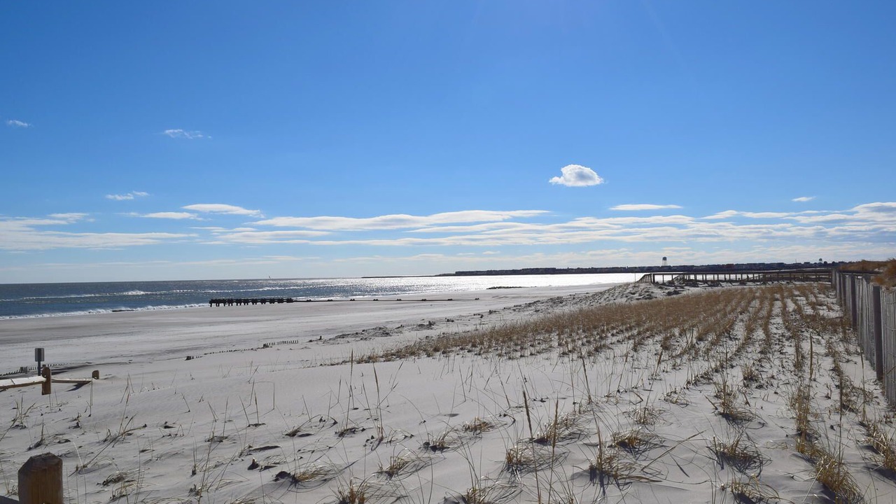 Photo of Others in Townsend's Inlet