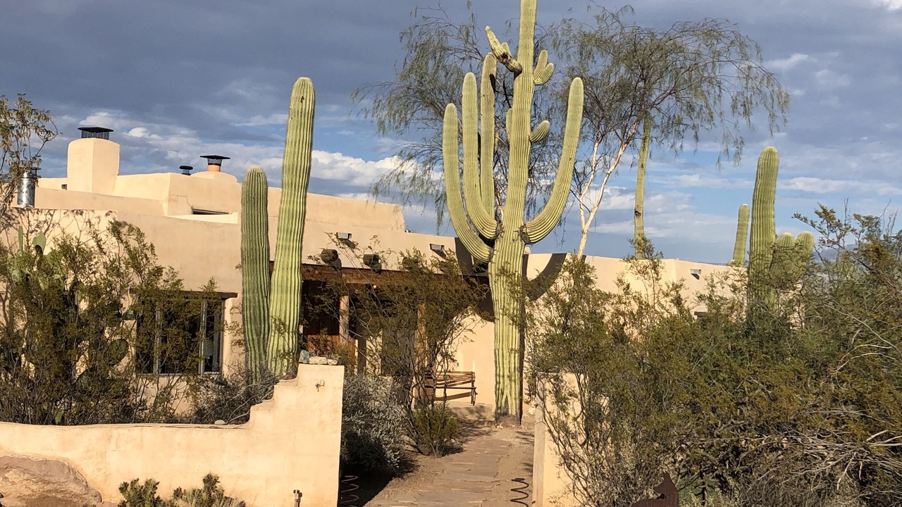 Photo of Outdoor in Cortaro