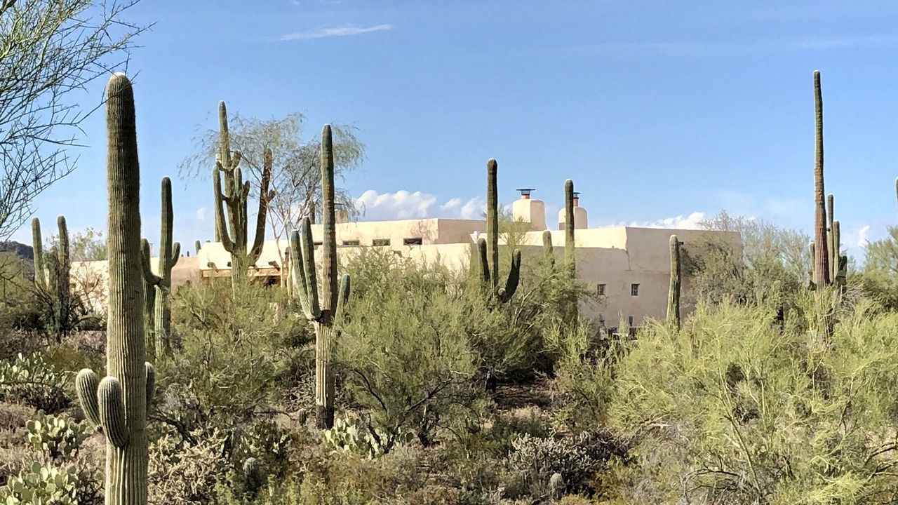 Photo of Outdoor in Cortaro