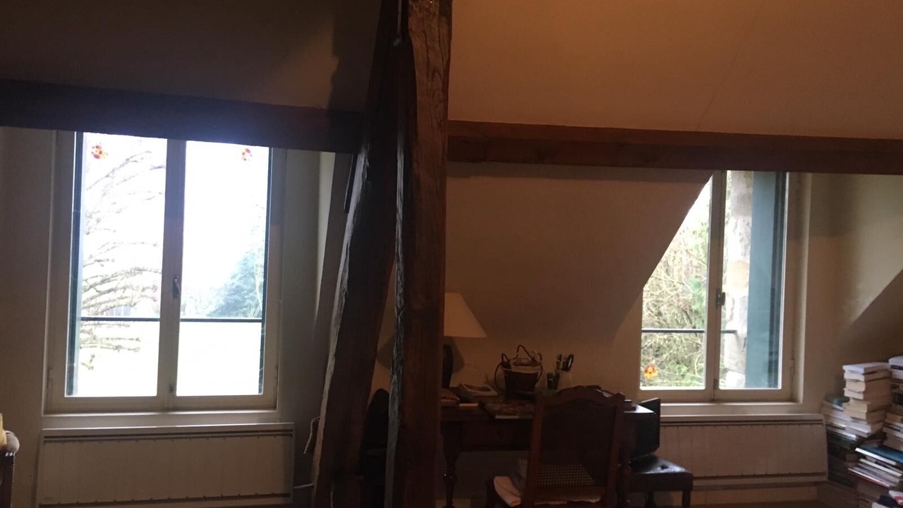 Photo of Others in Savigny-en-Terre-Plaine