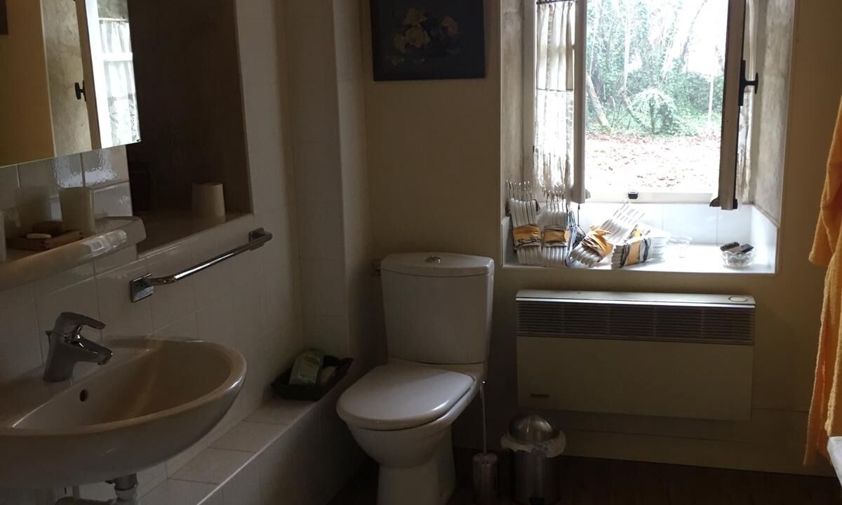 Photo of Bathroom in Savigny-en-Terre-Plaine