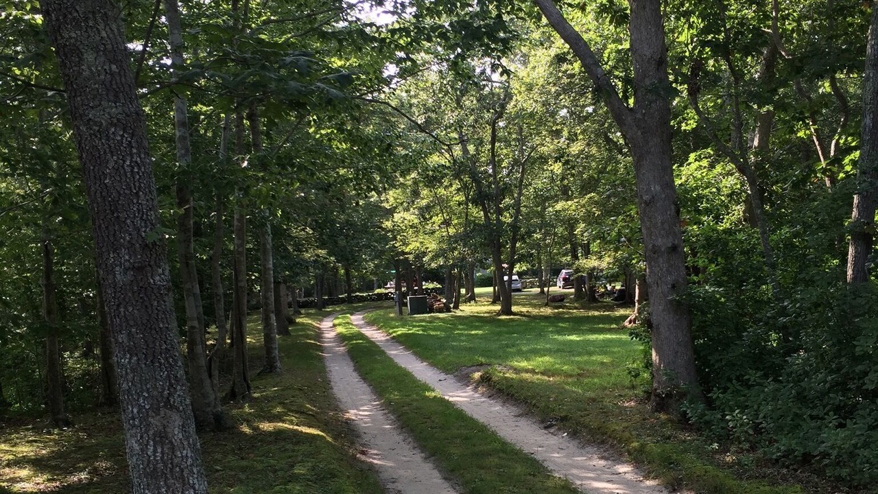 Photo of Others in Chilmark