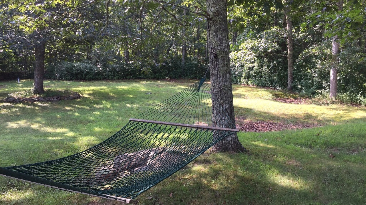 Photo of Others in Chilmark