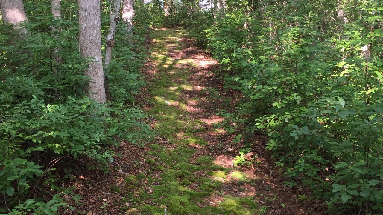 Photo of Others in Chilmark