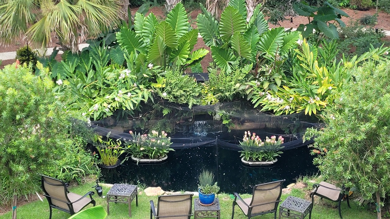 Photo of Outdoor in West Ashley