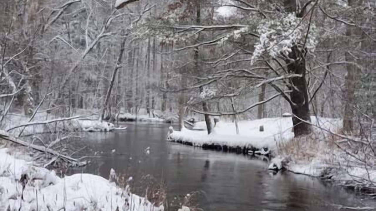 Photo of Others in Baldwin
