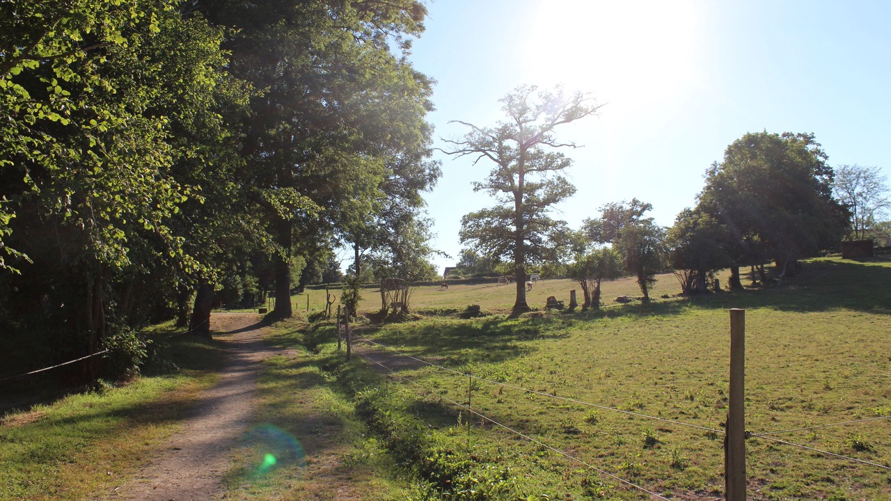 Photo of Outdoor in Bussiere-Dunoise