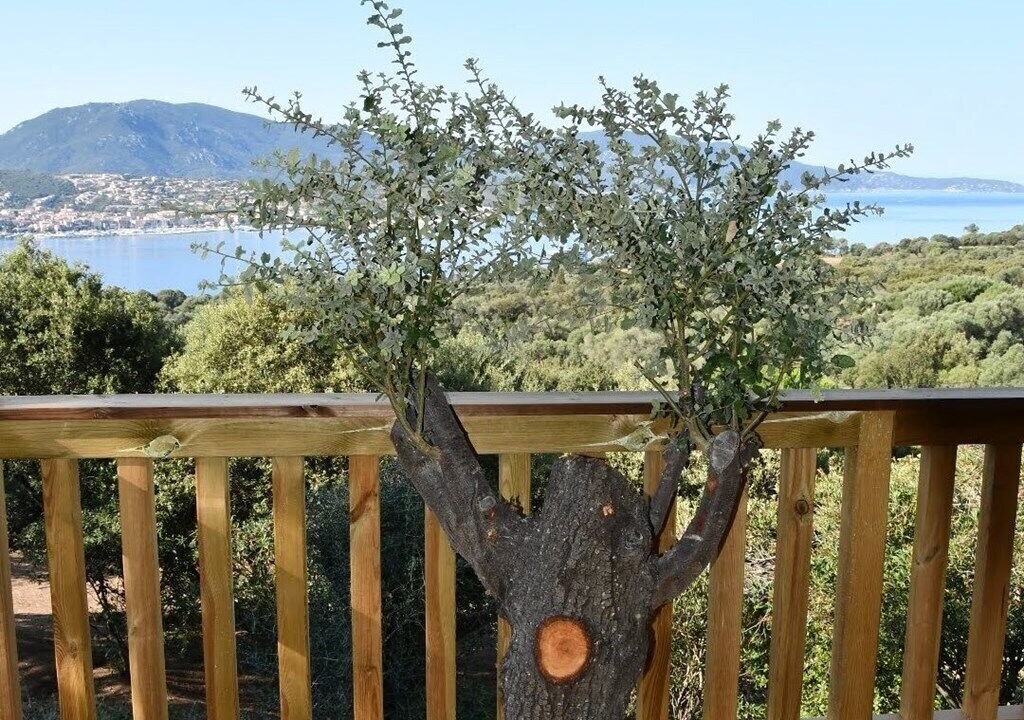 Photo of Outdoor in Vetricella