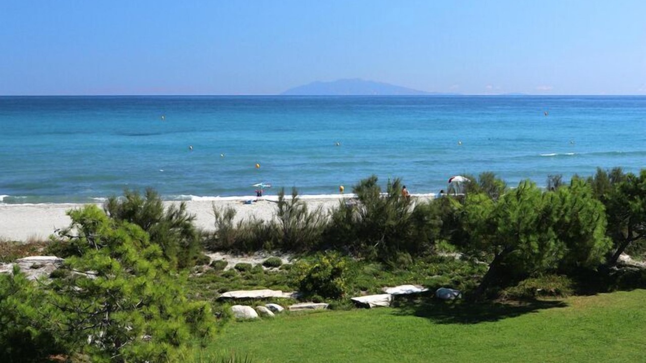 Photo of Others in Pineto