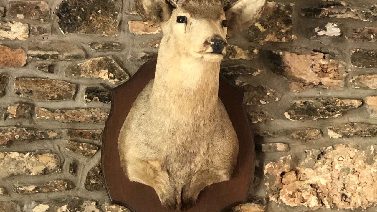 Photo of Others in San Saba