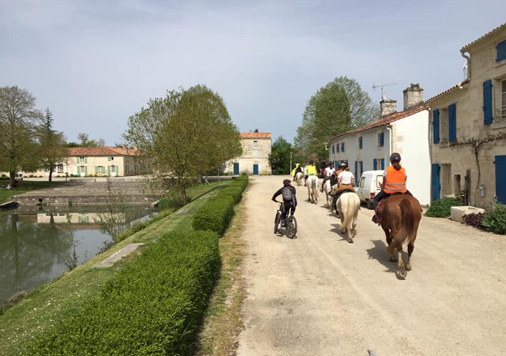 Photo of Outdoor in Bouille-Courdault