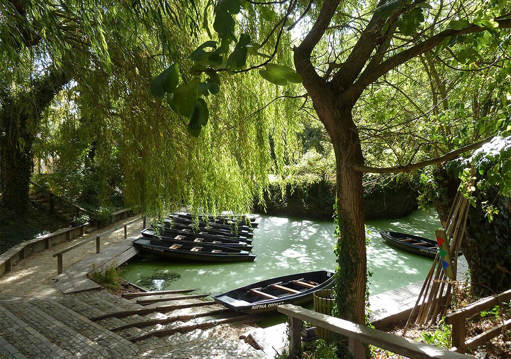 Photo of Outdoor in Bouille-Courdault