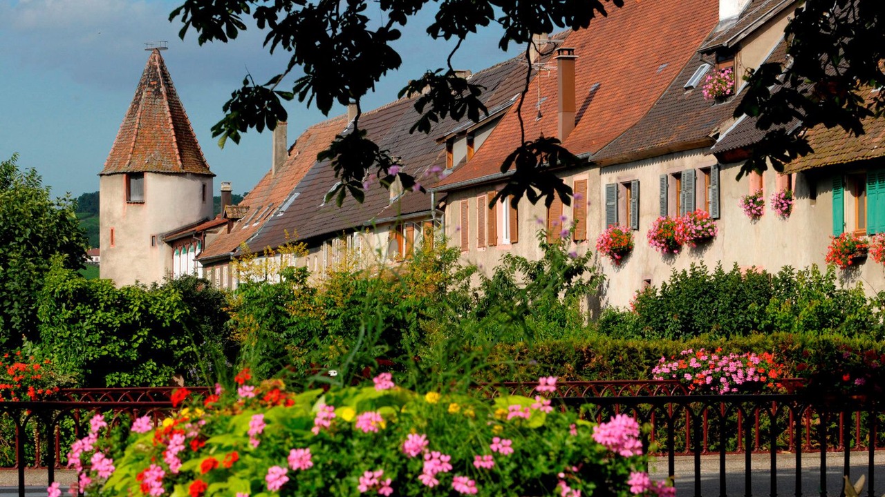 Photo of Outdoor in Saint-Hippolyte