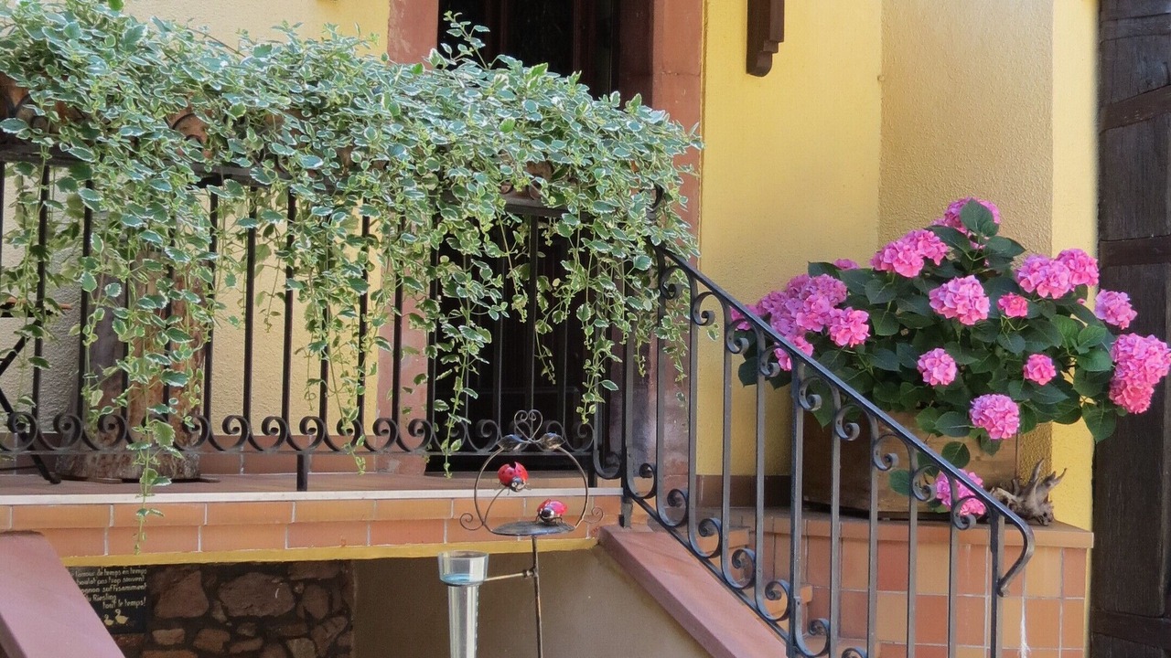 Photo of Outdoor in Saint-Hippolyte