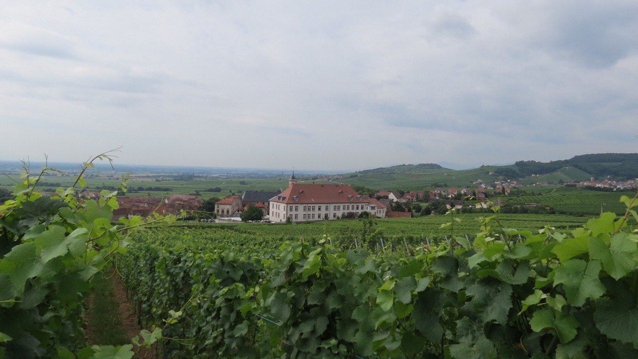 Photo of Others in Saint-Hippolyte