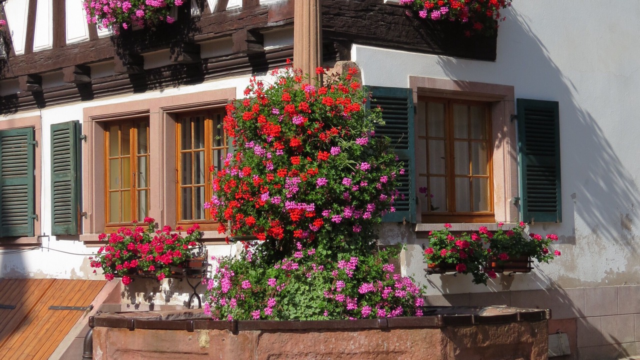 Photo of Outdoor in Saint-Hippolyte