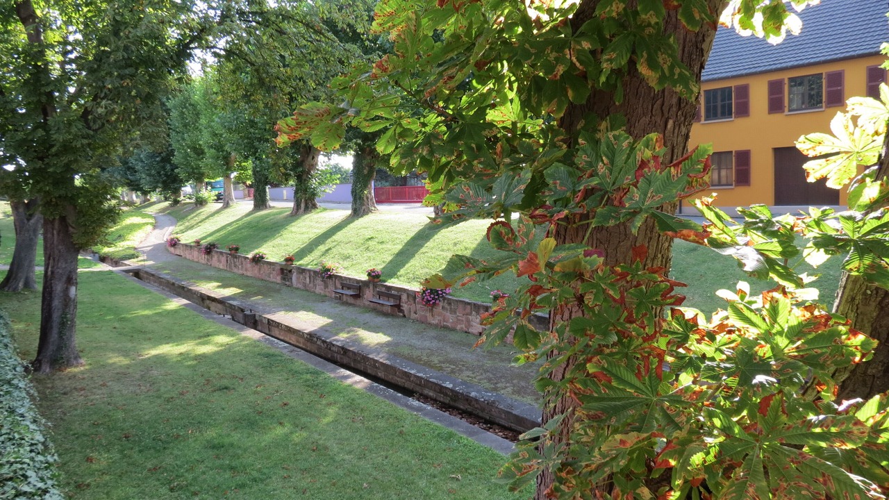Photo of Outdoor in Saint-Hippolyte