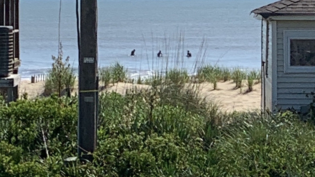 Photo of Others in Kitty Hawk