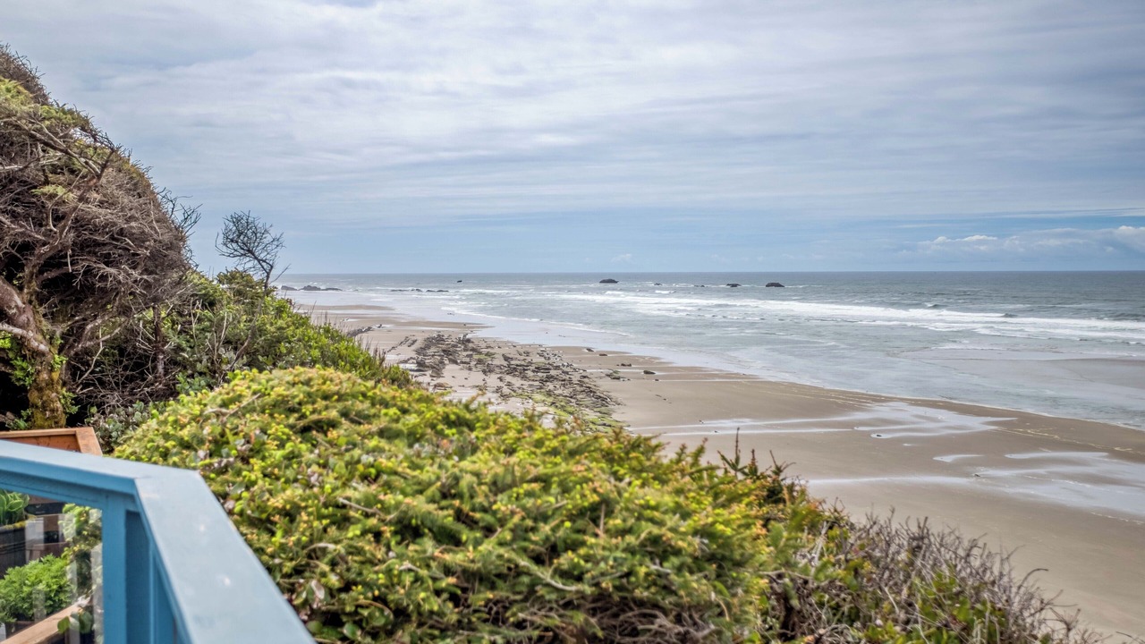 Photo of Others in Seal Rock