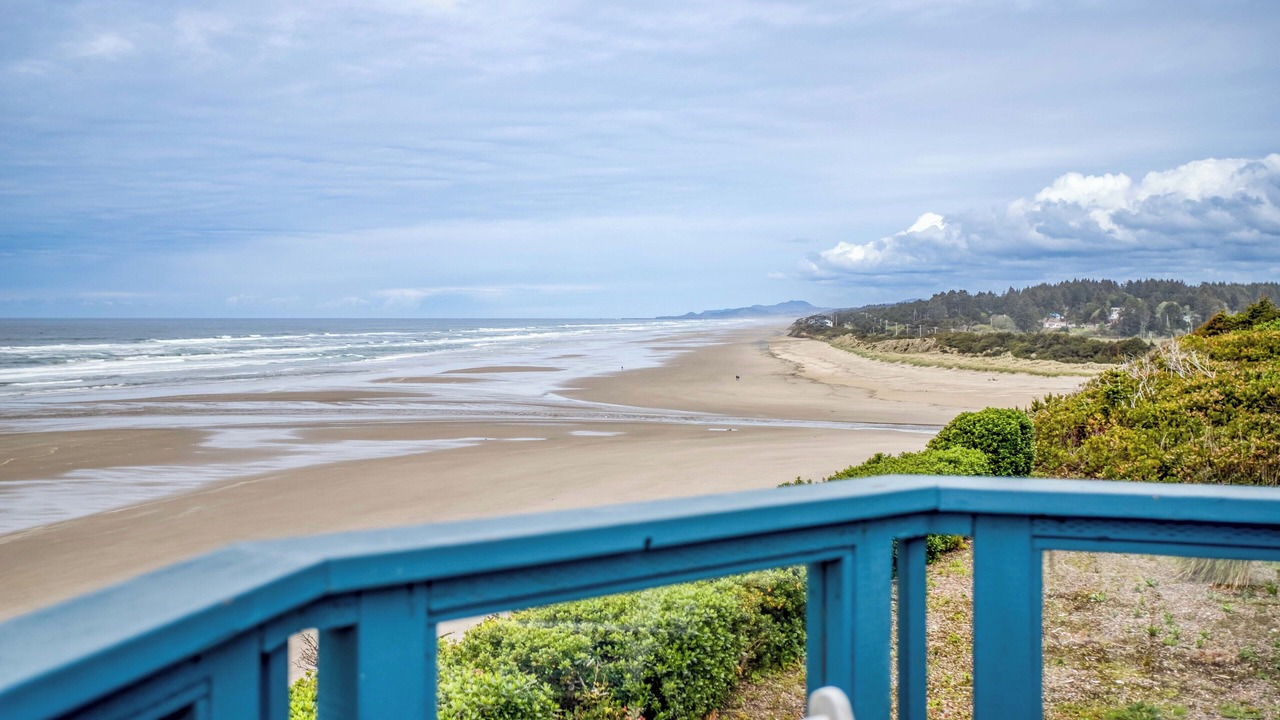 Photo of Others in Seal Rock