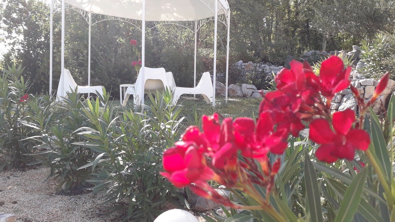 Photo of Outdoor in Saint Alban Auriolles
