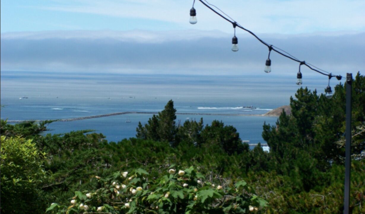 Photo of Others in Half Moon Bay