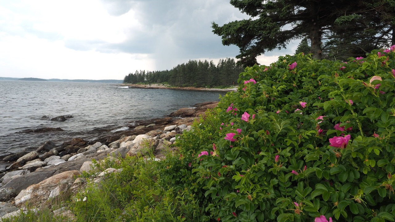 Photo of Others in Pemaquid Point