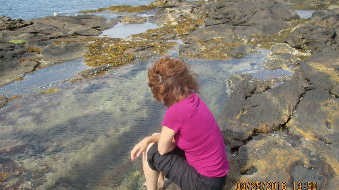 Photo of Others in Pemaquid Point