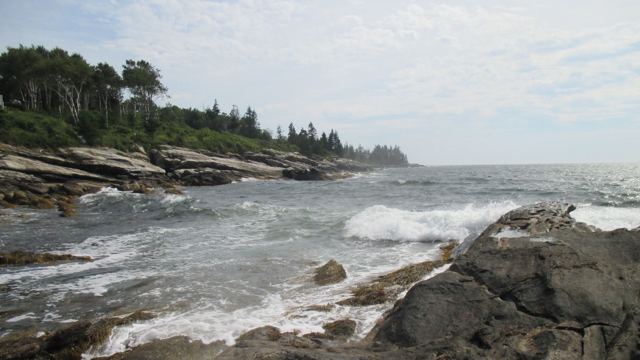Photo of Others in Pemaquid Point